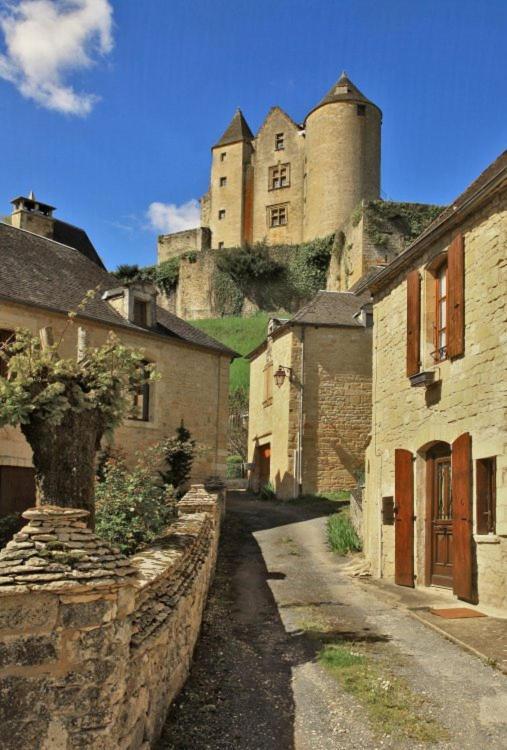 Petite Maison En Pierre Au Coeur Du Perigord Noir Proche De Sarlat Et Rocamadour Salignac Eyvigues Kültér fotó