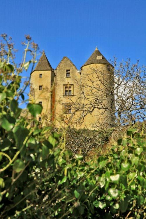 Petite Maison En Pierre Au Coeur Du Perigord Noir Proche De Sarlat Et Rocamadour Salignac Eyvigues Kültér fotó